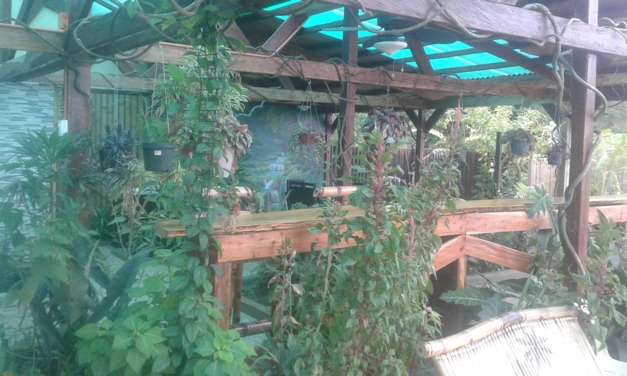 Jungle Of Peace Resort Siquijor Luaran gambar