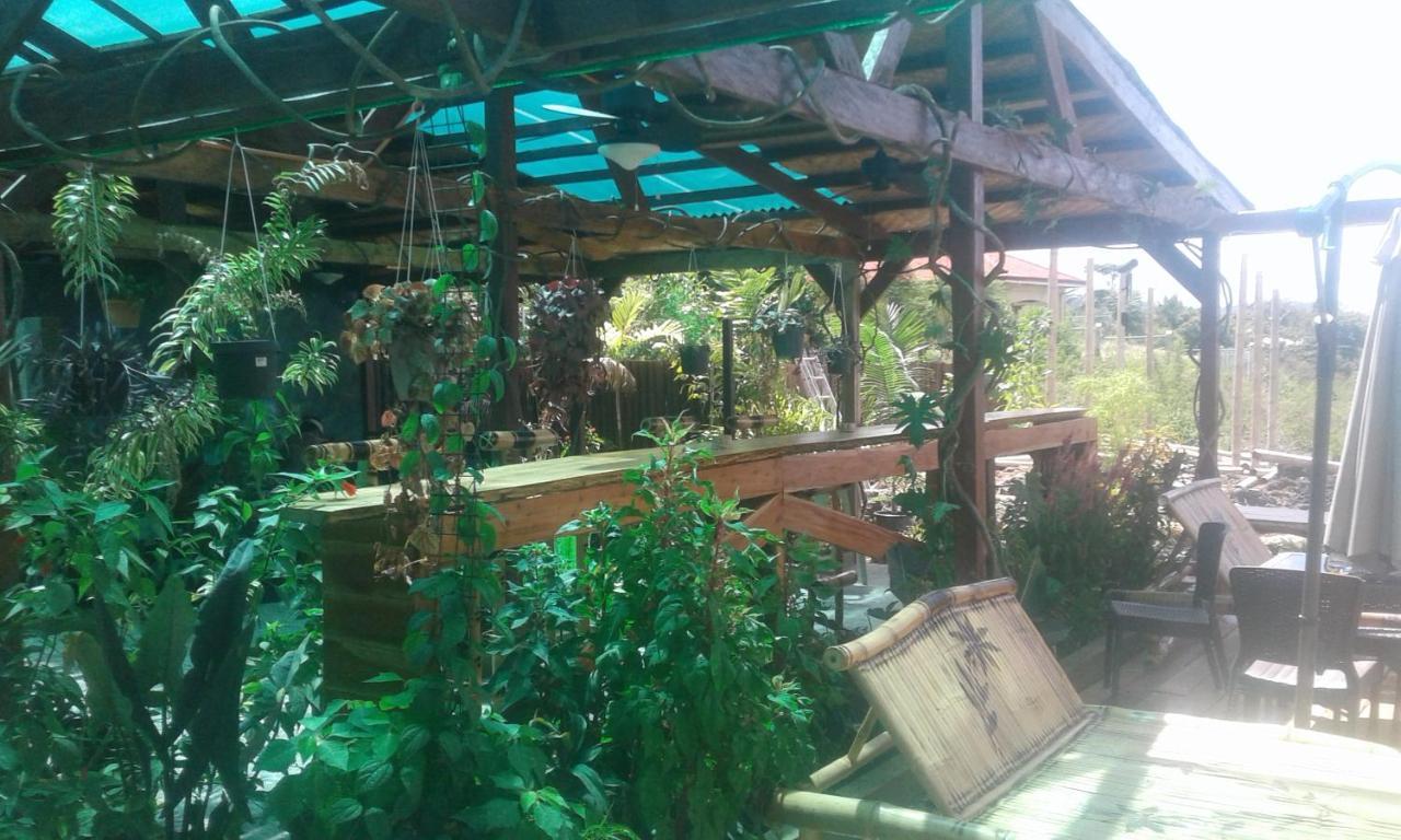 Jungle Of Peace Resort Siquijor Luaran gambar
