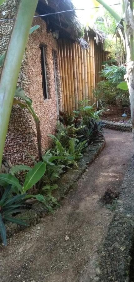 Jungle Of Peace Resort Siquijor Luaran gambar