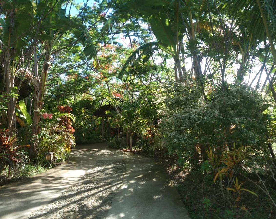 Jungle Of Peace Resort Siquijor Luaran gambar