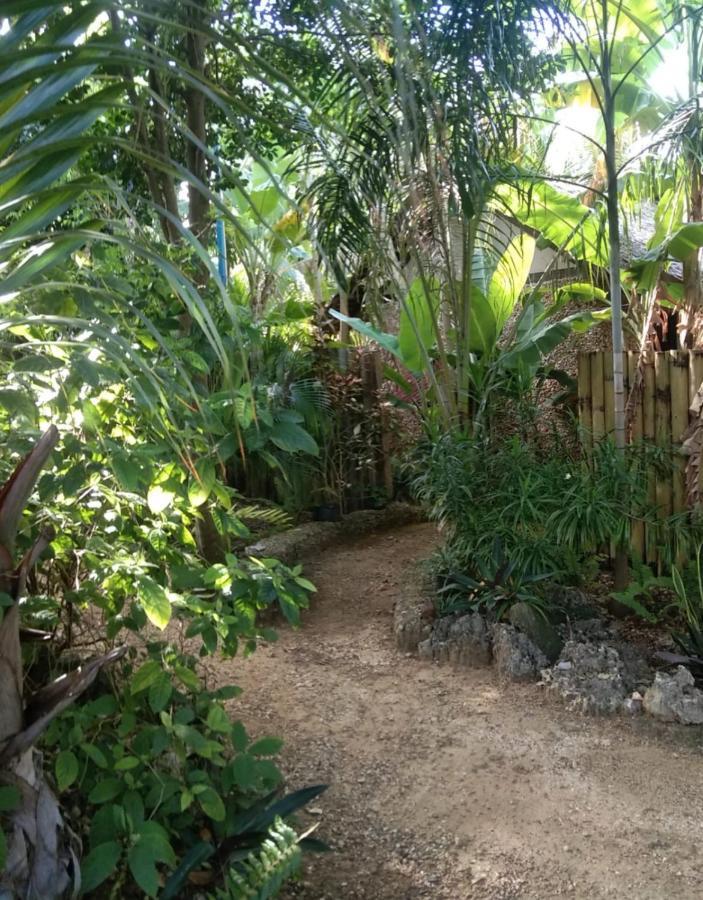 Jungle Of Peace Resort Siquijor Luaran gambar