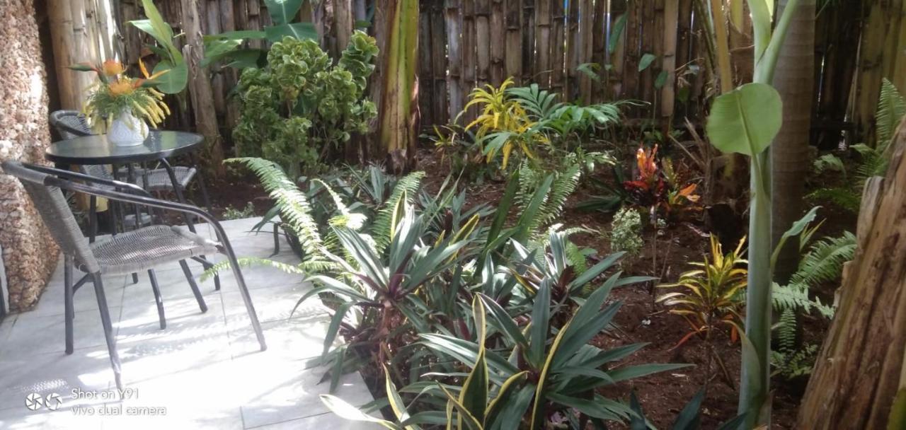 Jungle Of Peace Resort Siquijor Luaran gambar