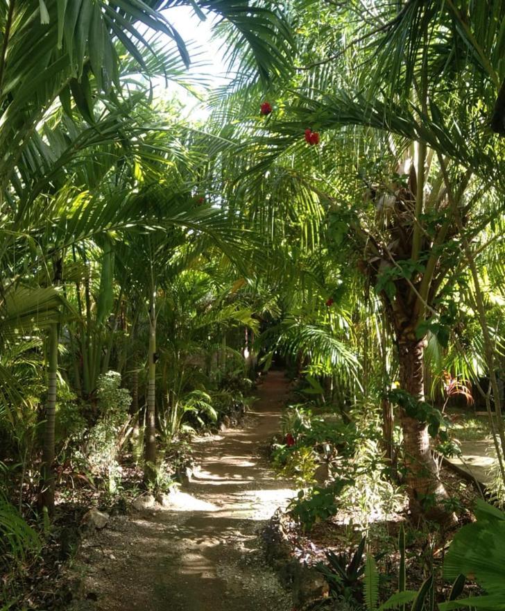 Jungle Of Peace Resort Siquijor Luaran gambar